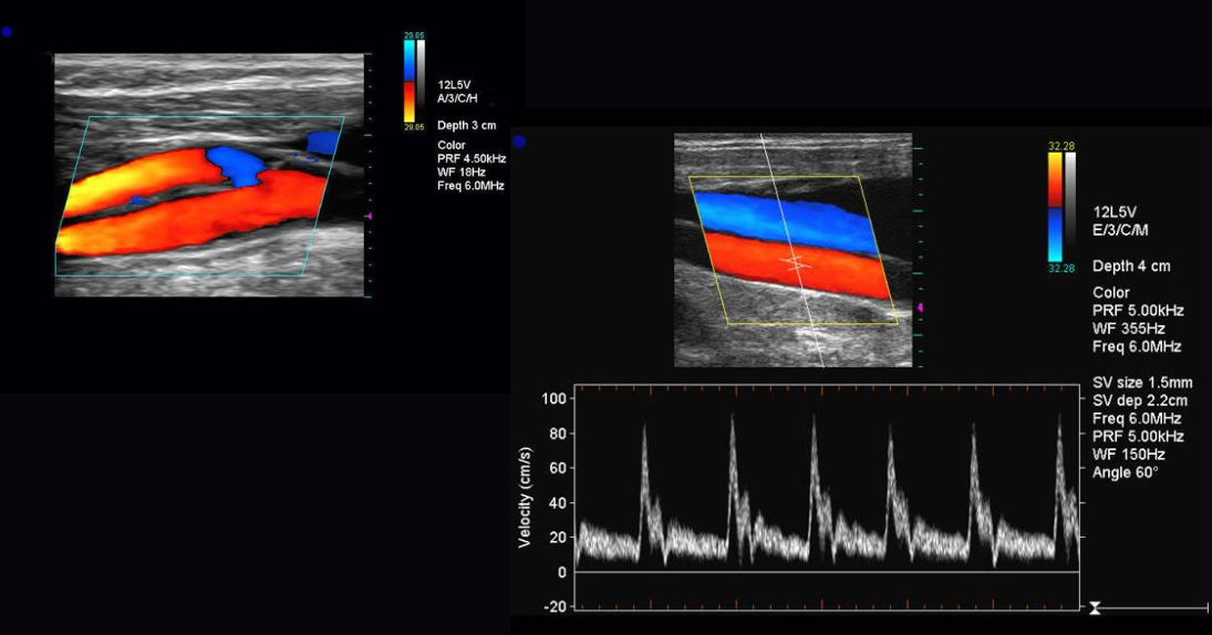 Especialistas en Diagnóstico